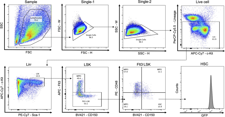 Figure 2