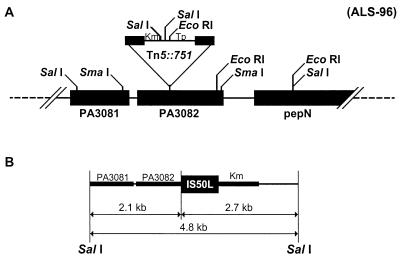 FIG. 2.