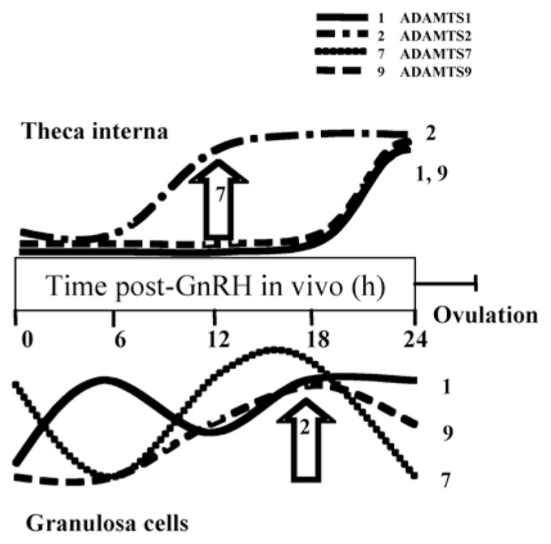 Figure 10