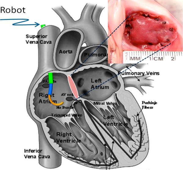 Fig. 3