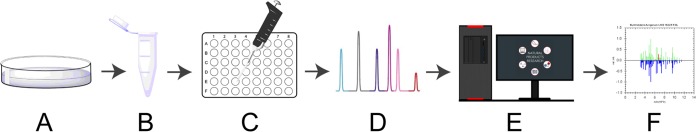 FIG 1