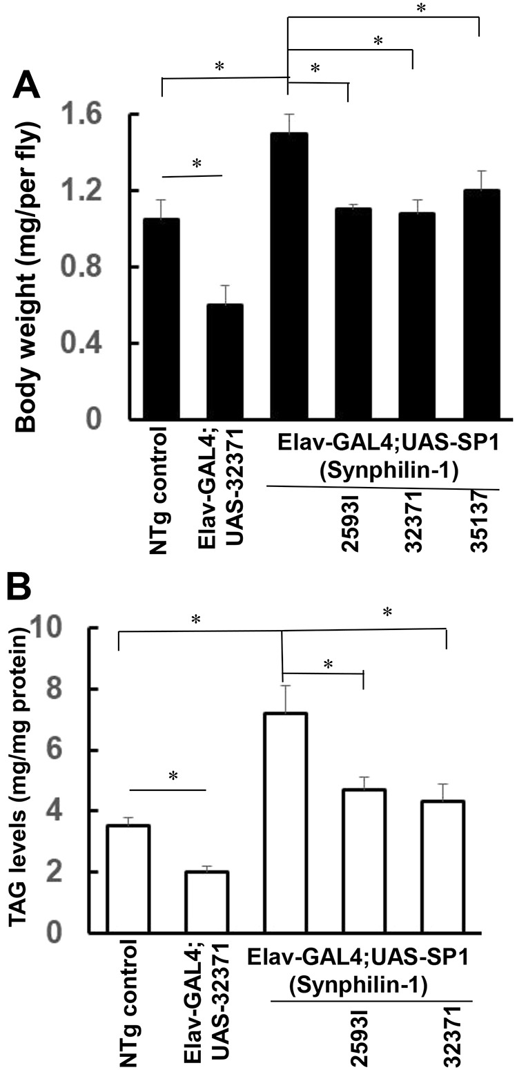 Fig. 3.