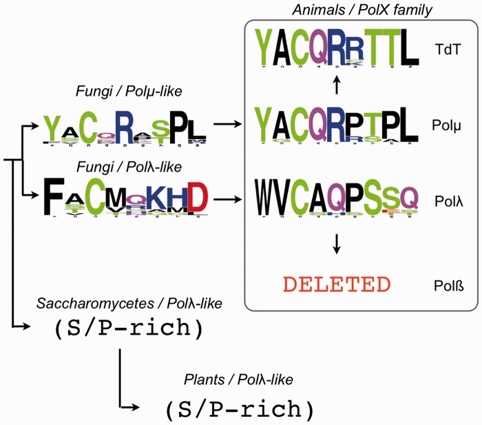 Figure 7.