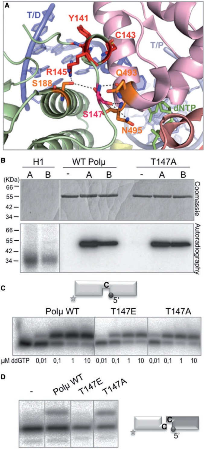 Figure 5.