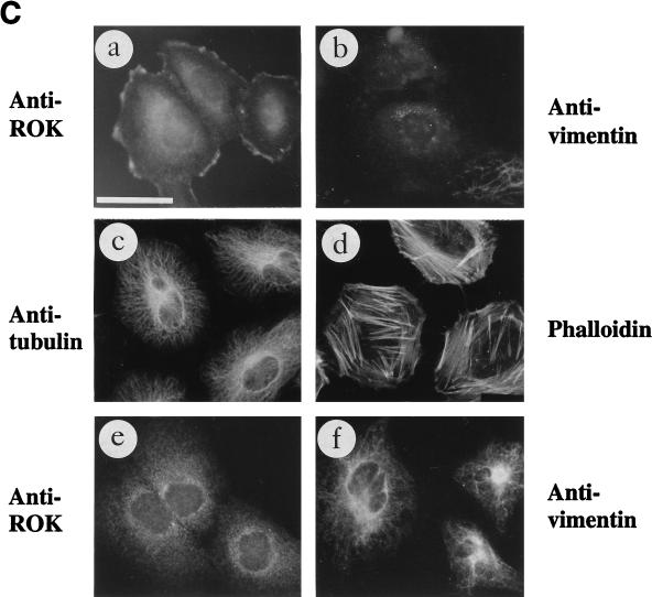 FIG. 5