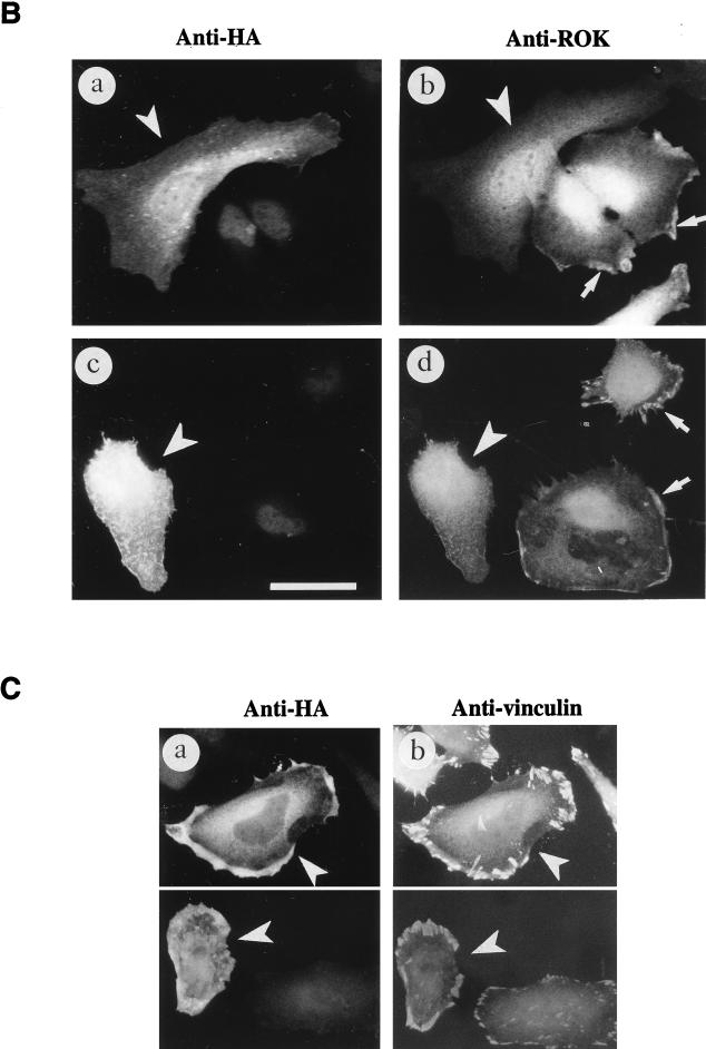 FIG. 7