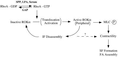 FIG. 8