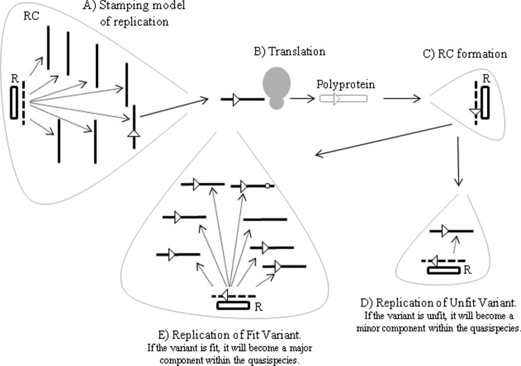 Fig 5