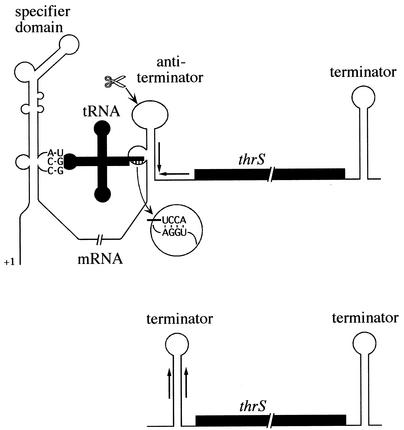 FIG. 5.