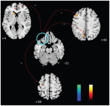 Fig. 2