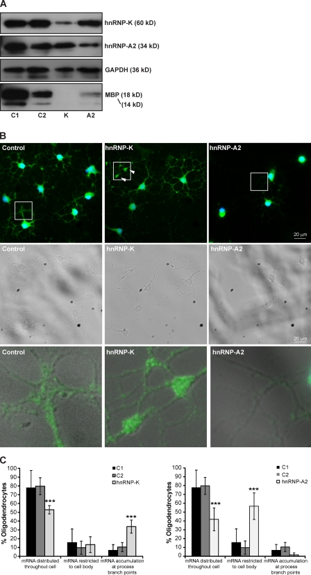 Figure 10.