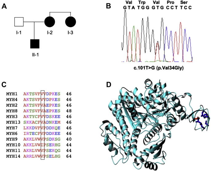 Fig. 1