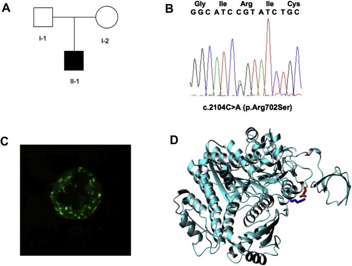 Fig. 2