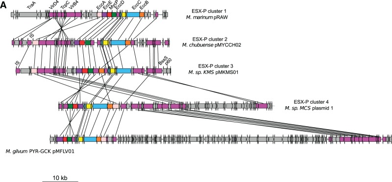 Fig. 4.—