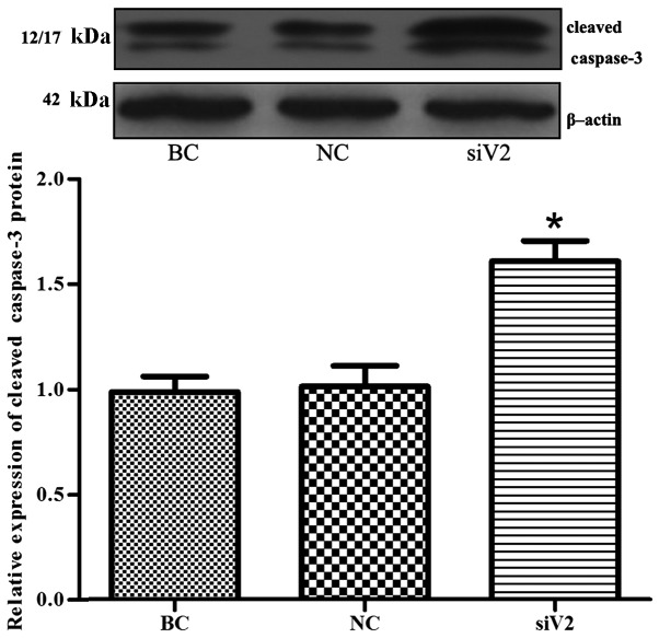 Figure 5.