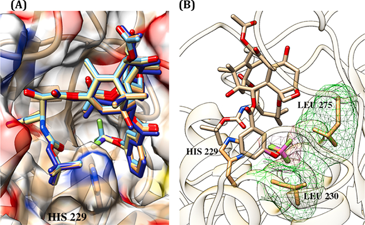 Fig. 9.