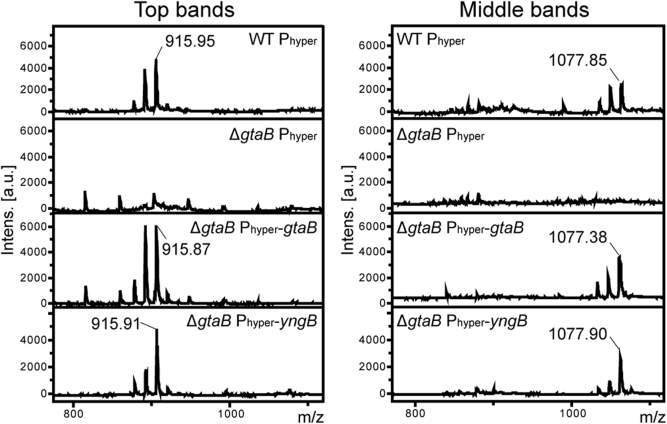 Figure 6