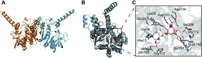 Figure 1