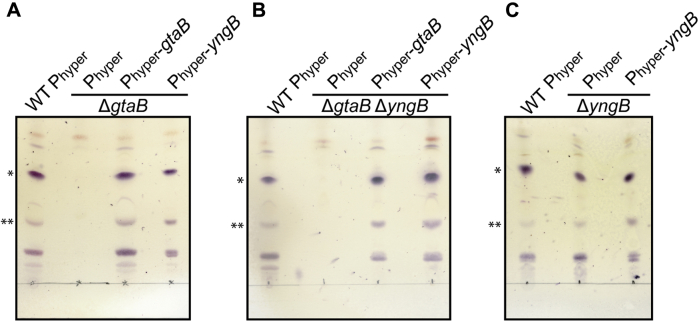 Figure 5