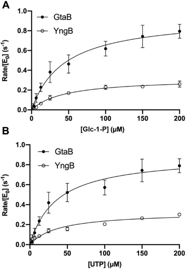 Figure 2