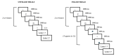 Unfilled and filled trials with 2 memory letters and squares