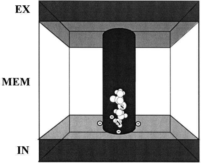 Figure 8