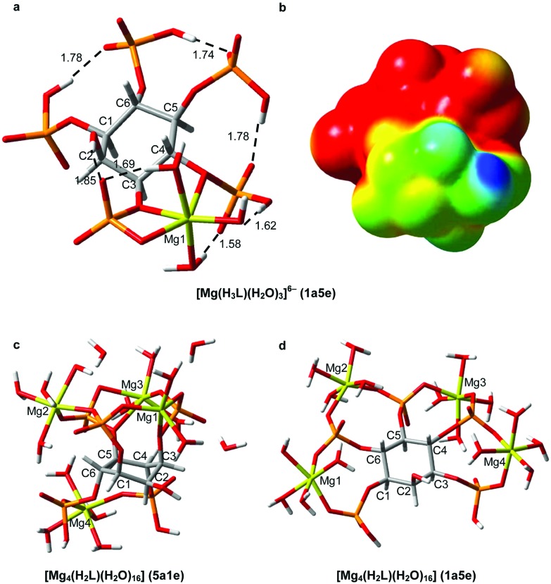 Fig. 11