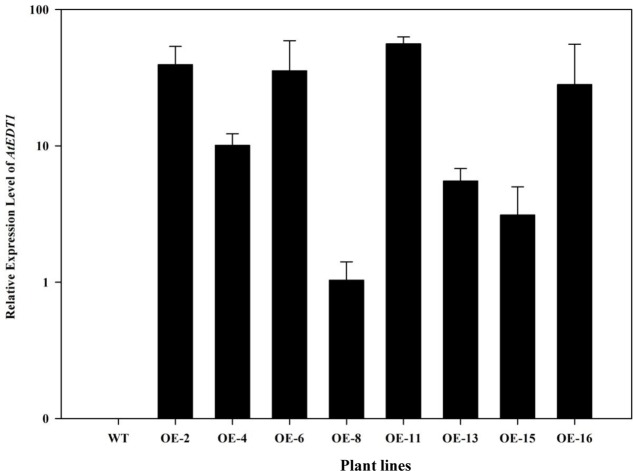 FIGURE 1