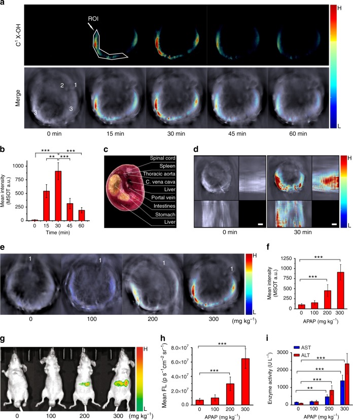 Fig. 3