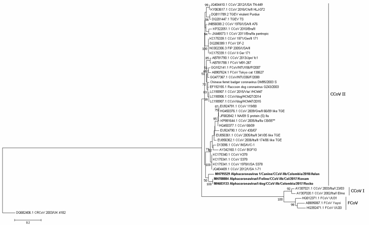 Figure 4