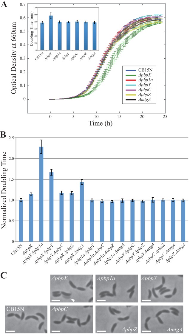 Fig 2