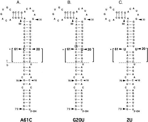 FIG. 7.