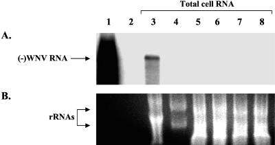 FIG. 11.