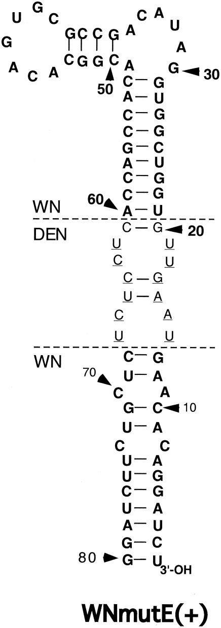 FIG. 6.