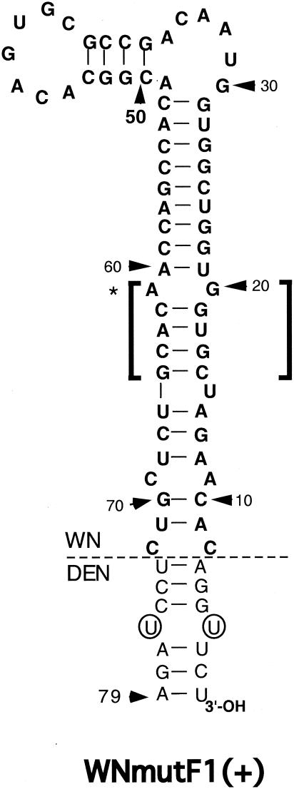 FIG. 8.