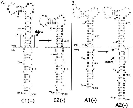 FIG. 4.