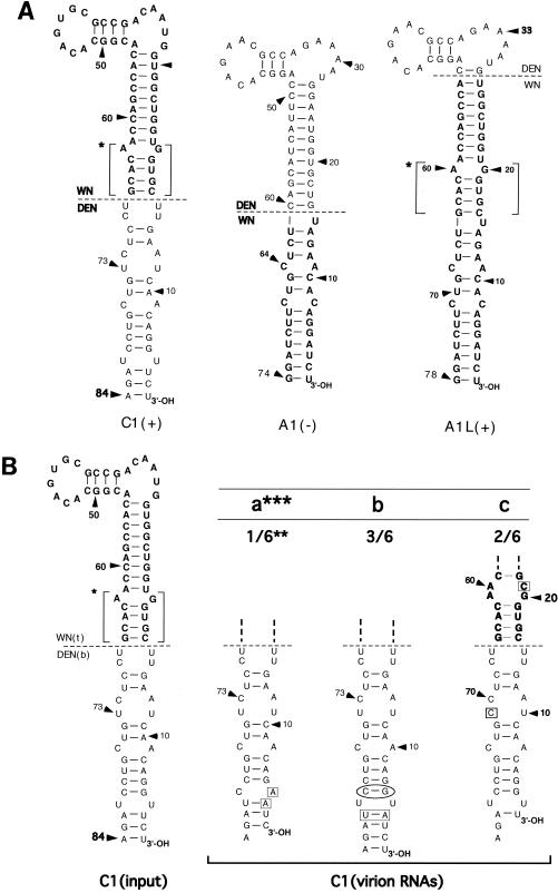 FIG. 3.