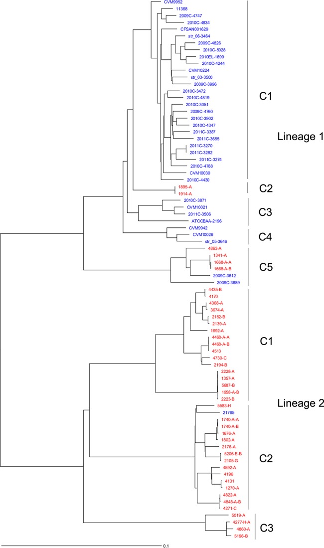 FIG 1