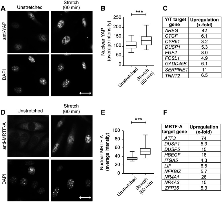 FIGURE 1: