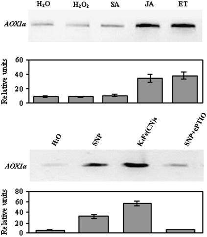 Figure 5.