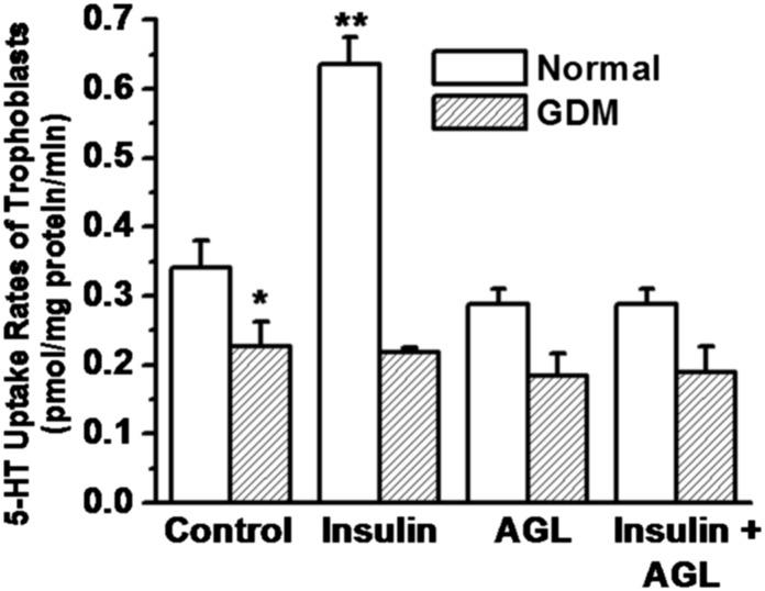 Fig. 13.