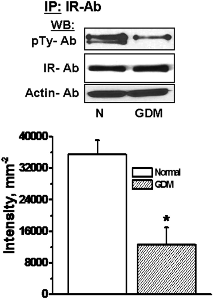 Fig. 10.