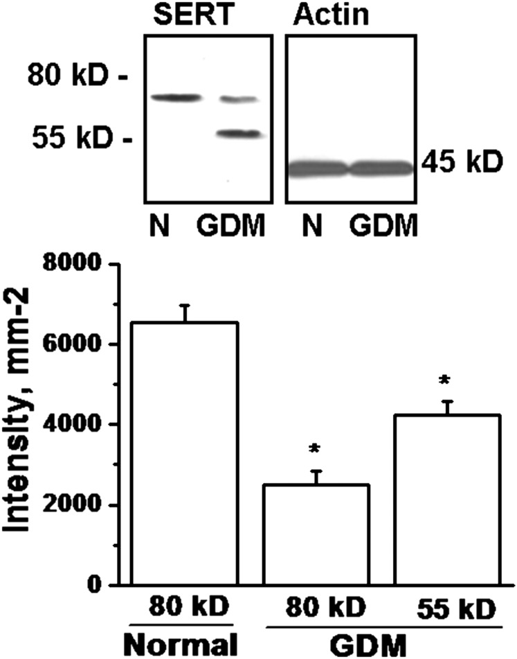 Fig. 5.