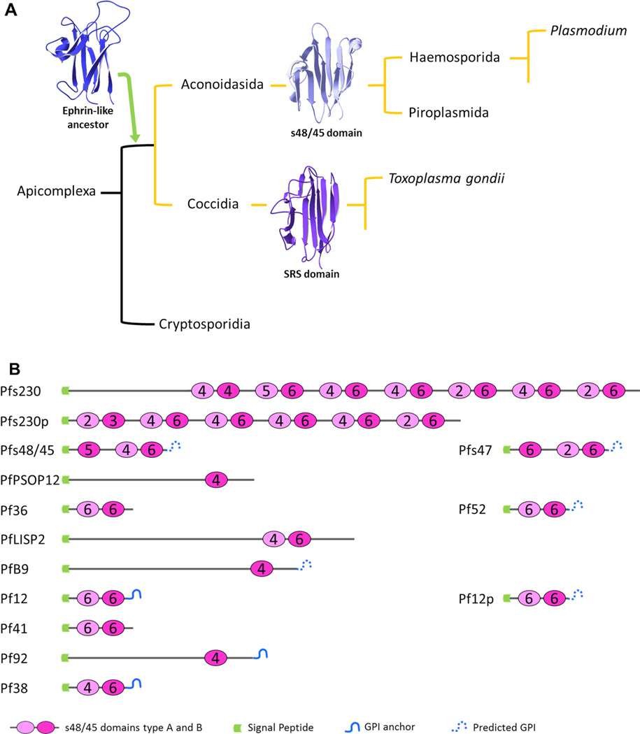 Fig. 2