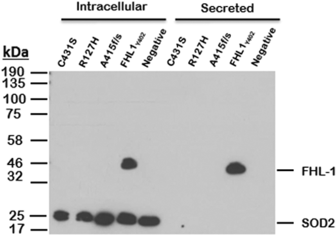 Figure 6