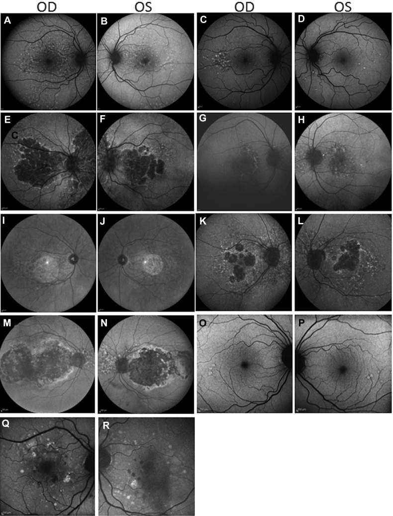 Figure 3