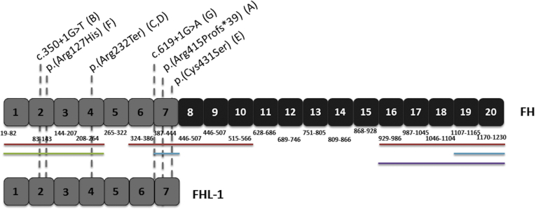 Figure 5