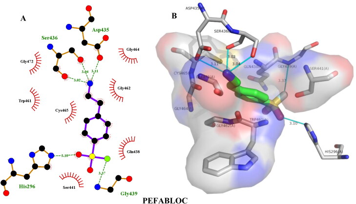 Figure 12.