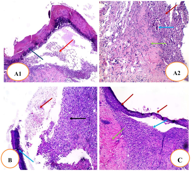 Figure 9