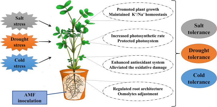 Fig. 9